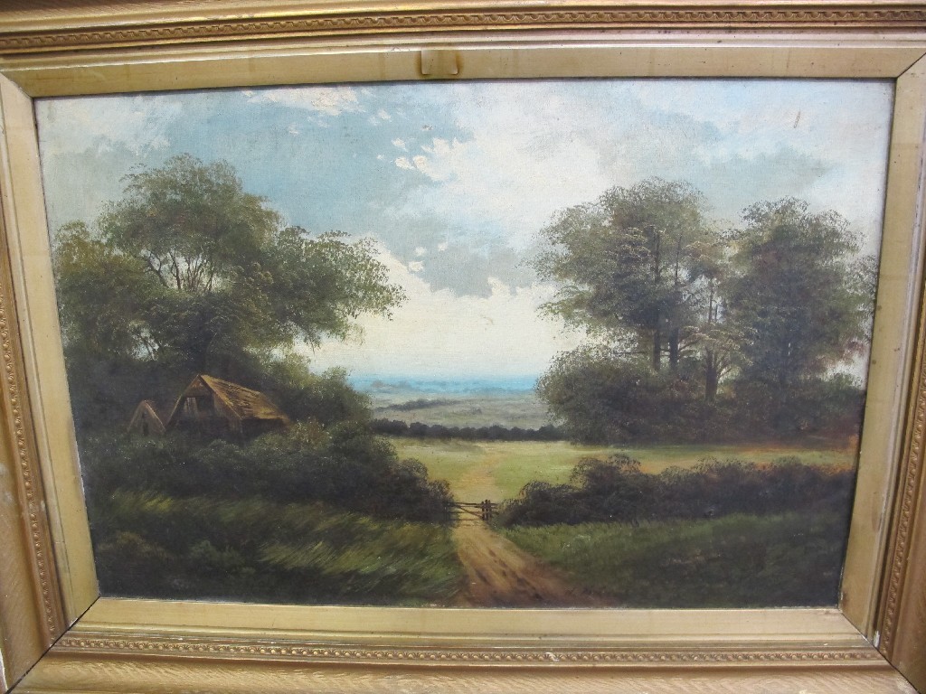 Appraisal: Oil on canvas landscape