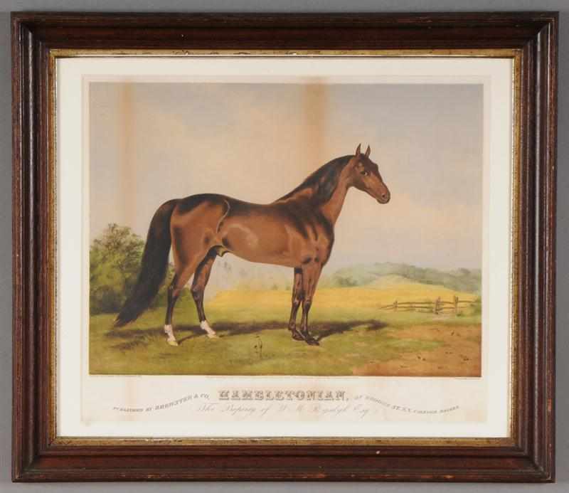 Appraisal: COLORED PRINT OF THE RACE HORSE ''HAMBLETONIAN'' Published by Endicott