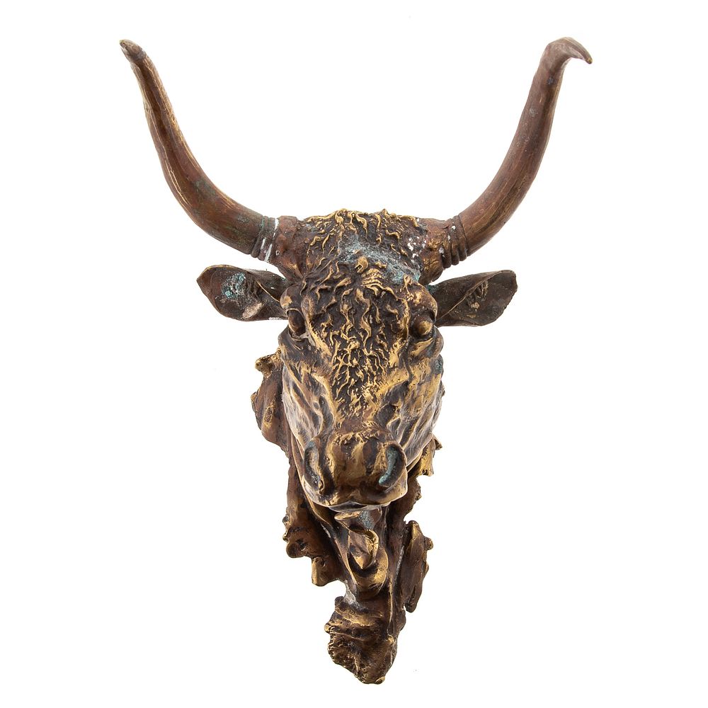 Appraisal: Cast Bronze Yak Head With wall hanger in L