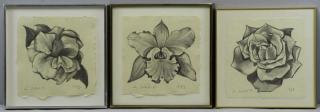 Appraisal: NESBITT Lowell Pencil on Paper Drawings of Flowers Each signed