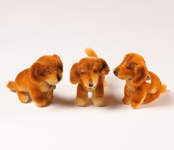 Appraisal: Three Steiff Bazi dachshund dogs two with ear buttons and