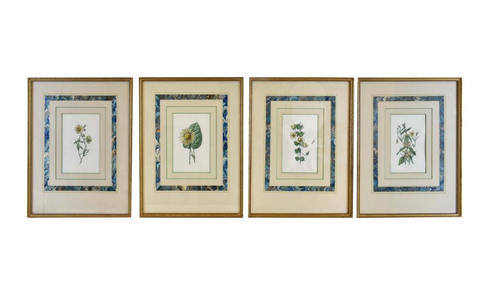 Appraisal: SET OF FOUR BOTANICAL WATERCOLORS ON PAPEREach with a floral