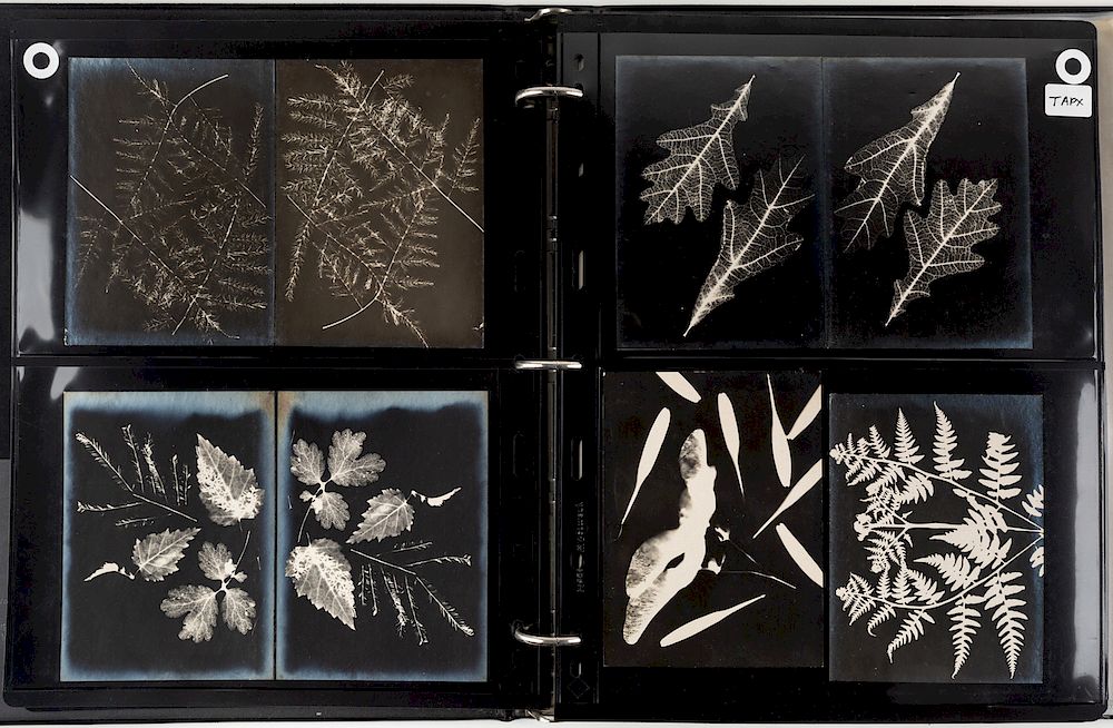 Appraisal: AN EXCEEDINGLY RARE COLLECTION OF AVANT-GARDE PHOTOGRAPHS AND PHOTOGRAMS BY