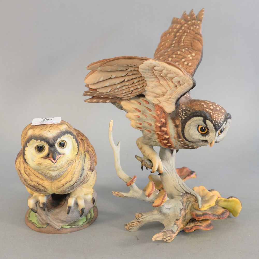 Appraisal: Two Boehm porcelain owls titles include Fledgling Great Horned Owl