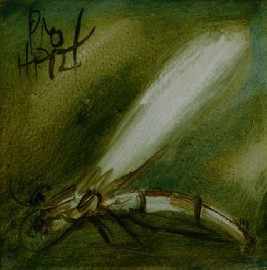 Appraisal: Pro Hart - Dragonfly oil on board signed 'PRO HART'