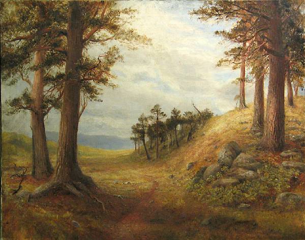 Appraisal: Thomas Williams Outskirts of the forest of Rothiemurchus Scotland signed