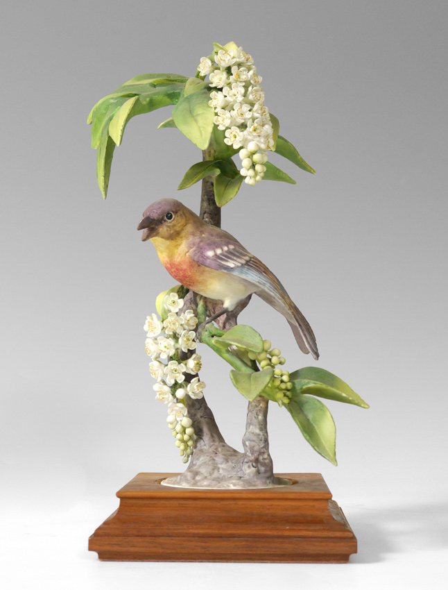 Appraisal: ROYAL WORCESTER DOROTHY DOUGHTY BIRD LUZULI BUNTING PASSERINA AMOENA With