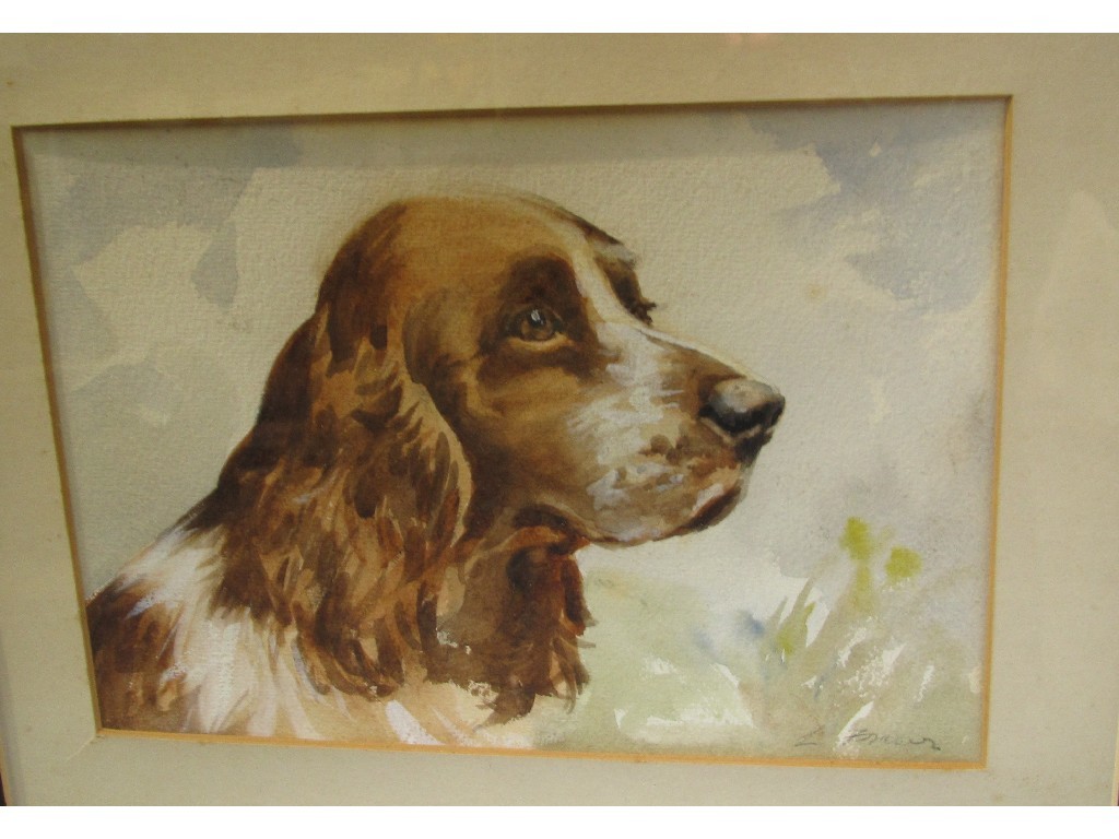 Appraisal: L FRASER Watercolour of a Spaniel signed