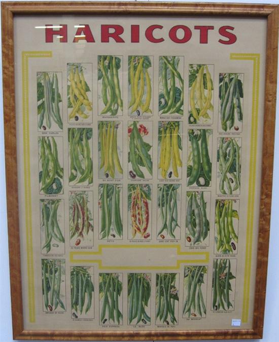 Appraisal: HARICOTS BOTANICAL ADVERTISING PRINT x