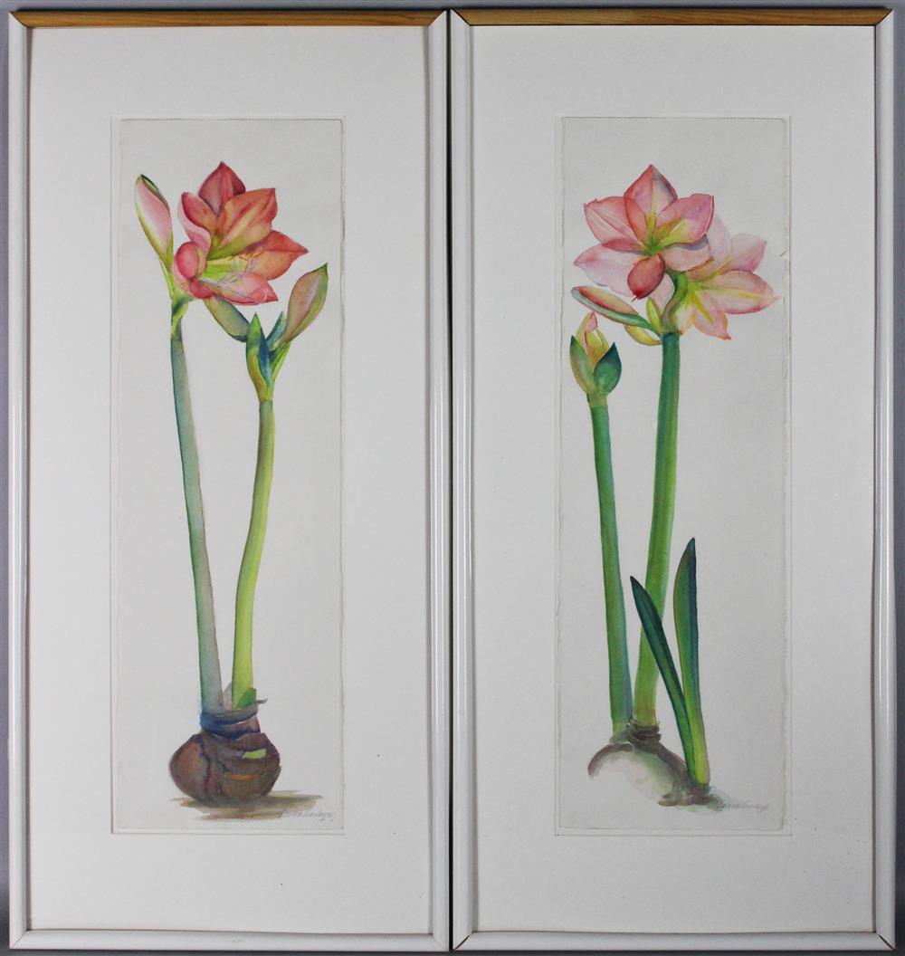 Appraisal: LAURA LEMLEY A GROUP OF FIVE AMARYLLIS Watercolor x in