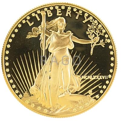 Appraisal: GOLD EAGLE proof Condition Report