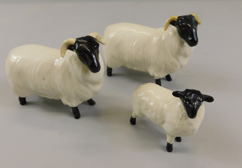 Appraisal: Three Beswick sheep to include two black faced sheep model