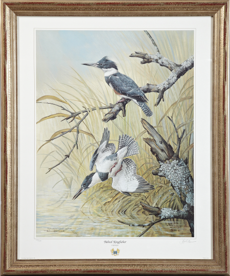 Appraisal: Basil Ede British b Belted Kingfisher offset chromolithograph signed in