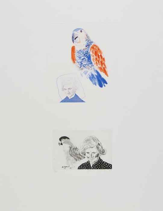 Appraisal: David Hockney b My Mother with a Parrot T two