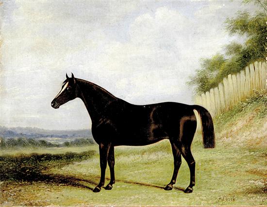 Appraisal: Francis Clark British th century PORTRAIT OF A RACEHORSEoil on