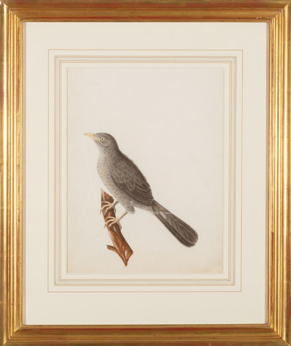 Appraisal: Continental School late th early th c Bird on a