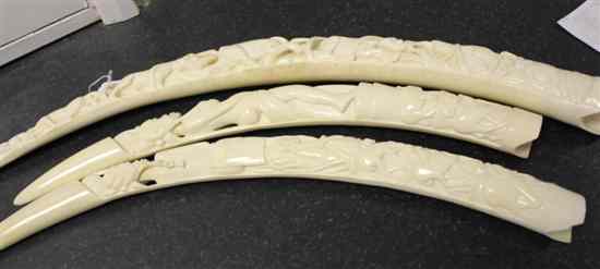 Appraisal: Three early th century African ivory tusks carved with nudes