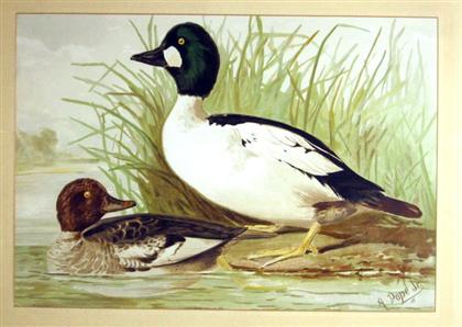 Appraisal: pieces Chromolithographs Pope A Jr Ducks N p ca Approx