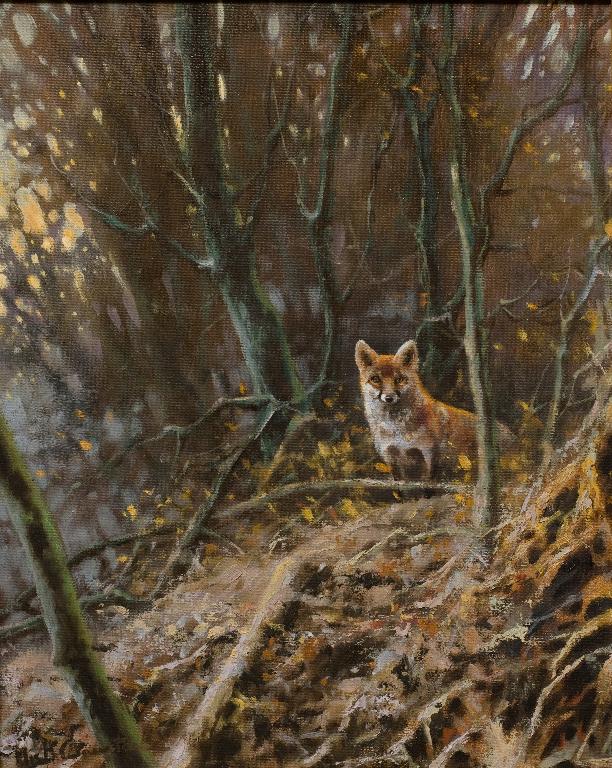 Appraisal: MICK CAWSTON b FOX IN A WOOD signed lower left