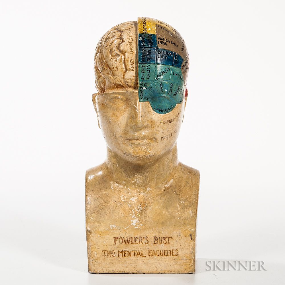 Appraisal: Molded and Polychrome Painted Plaster Phrenology Head Molded and Polychrome