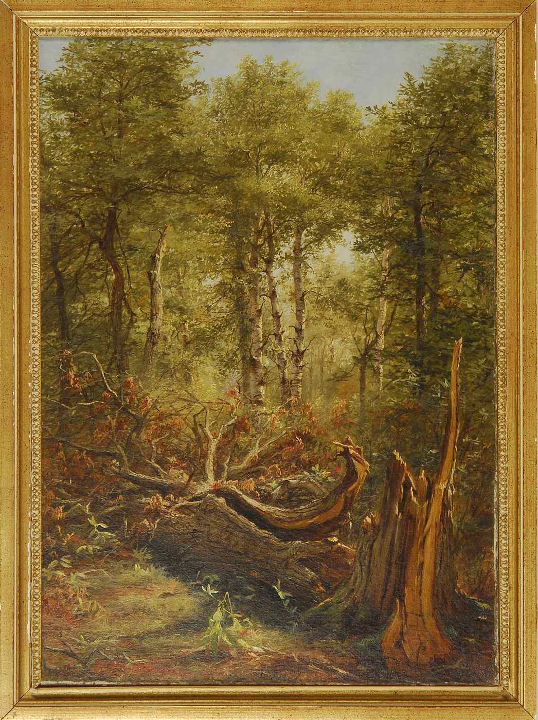 Appraisal: JEROME B THOMPSONAmerican - Forest interior with fallen tree Signed