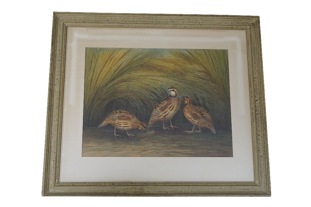 Appraisal: Gerard Hardenbergh Three Quails Gerard Rutgers Hardenbergh American - Three