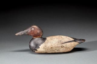 Appraisal: Standard Grade Canvasback Drake by Mason Decoy Factory Mason Decoy