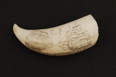 Appraisal: A scrimshaw decorated whale's tooth one face engraved with two