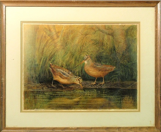 Appraisal: - Framed and matted lithograph of woodcock by a pool