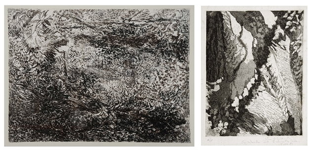 Appraisal: JOHN HUBBARD b Woodland undergrowth signed in pencil and dated