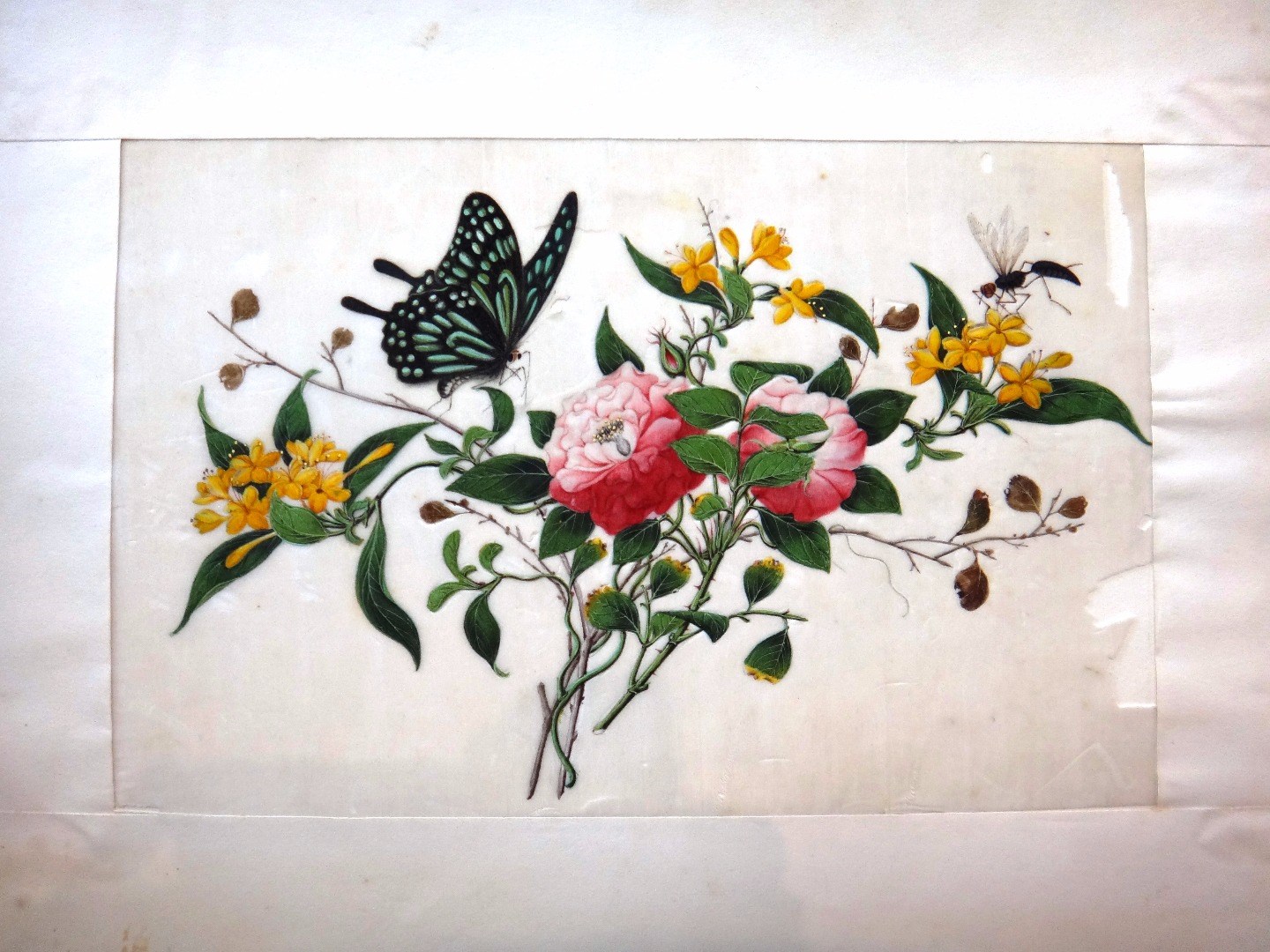 Appraisal: Six Chinese paintings on rice paper th century each well