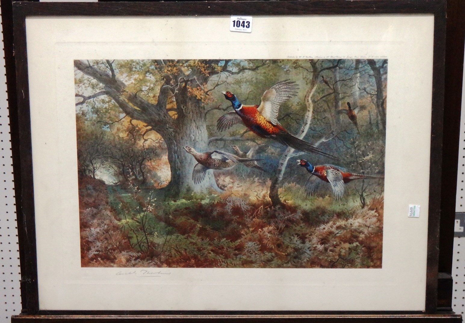 Appraisal: Archibald Thorburn - Pheasant colour print signed in pencil with