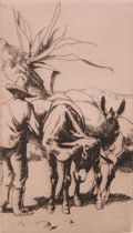 Appraisal: Henry George Keller American - Mexican Donkey Etching by Cleveland