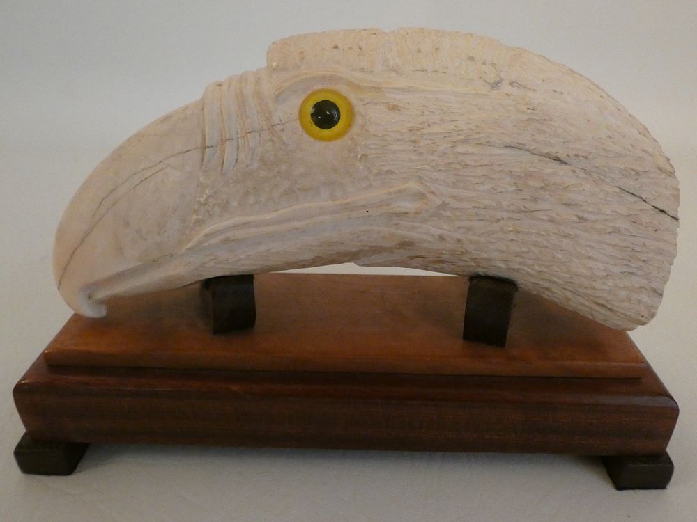 Appraisal: EAGLE HEAD WHALE TOOTH Fine antique carved whale tooth in