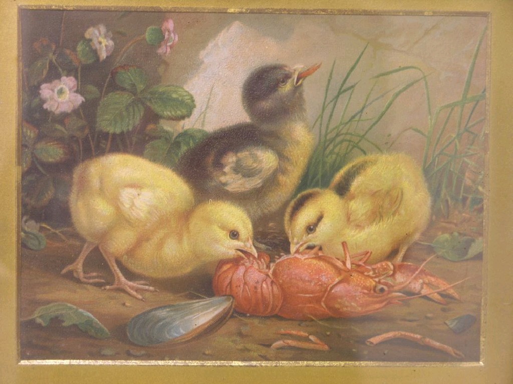 Appraisal: A pair of late Victorian oleographs birds and fruit x