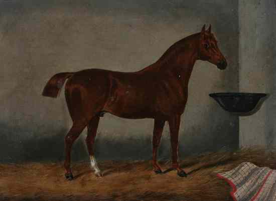 Appraisal: BRITISH SCHOOL th century HACKNEY PONY IN STALL oil on