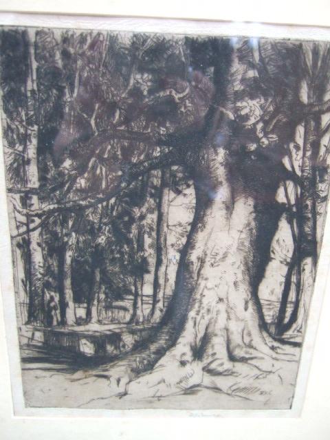 Appraisal: David Young Cameron - Wooded scene etching signed in pencil