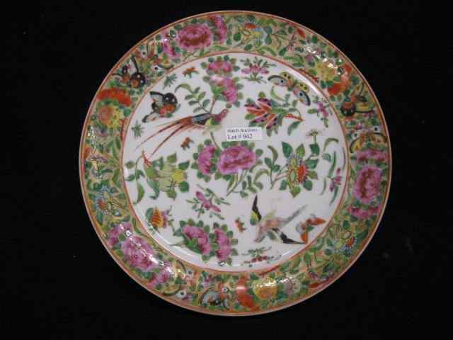 Appraisal: Pair of Chinese Rose Medallion Porcelain Plates elaborate bird butterfly