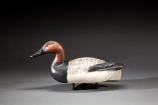 Appraisal: Racy Canvasback Drake by Richard Fresh Air Dick Janson Racy