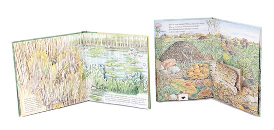 Appraisal: Children's hidden nature pop-up books Eugene Toni HIDE AND SEEK