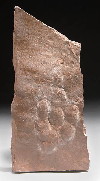 Appraisal: Dinosaur Track Grallator cunceateus Newark Supergroup Late Triassic Lincoln Park