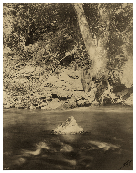 Appraisal: CURTIS EDWARD S - By the Sycamore Apache Platinum print