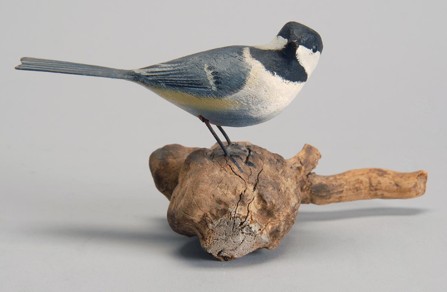 Appraisal: LIFE-SIZE CHICKADEE by Peter Peltz Sandwich Mass With turned head