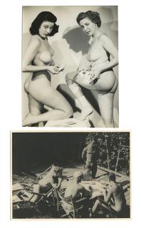 Appraisal: Twelve Miscellaneous Photographs with Playing Cards Including French Poodle nude