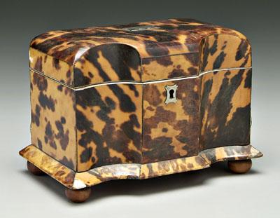 Appraisal: Tortoise tea caddy fluted front panels above compressed ball feet