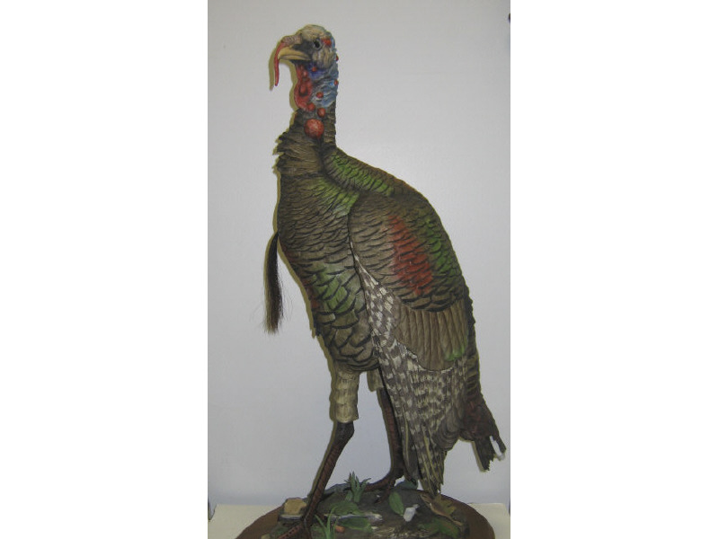 Appraisal: EDWARD MARSHALL BOEHM INC TRENTON NJ Wild Turkey monumental sculpture