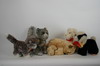 Appraisal: STUFFED ANIMALS - Lot of five Steiff animals Lumpi dog