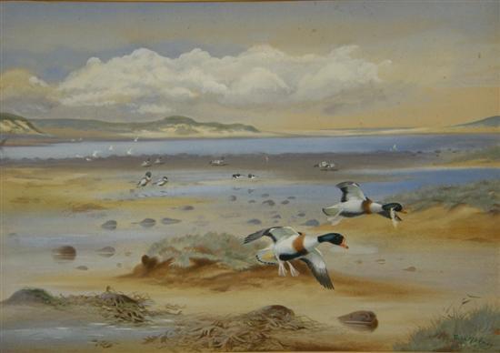 Appraisal: Phillip Rickman watercolour two ducks coming in to land in