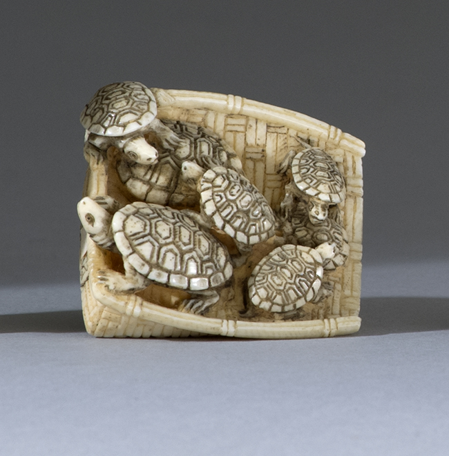 Appraisal: IVORY NETSUKE Early th CenturyIn the form of seven turtles