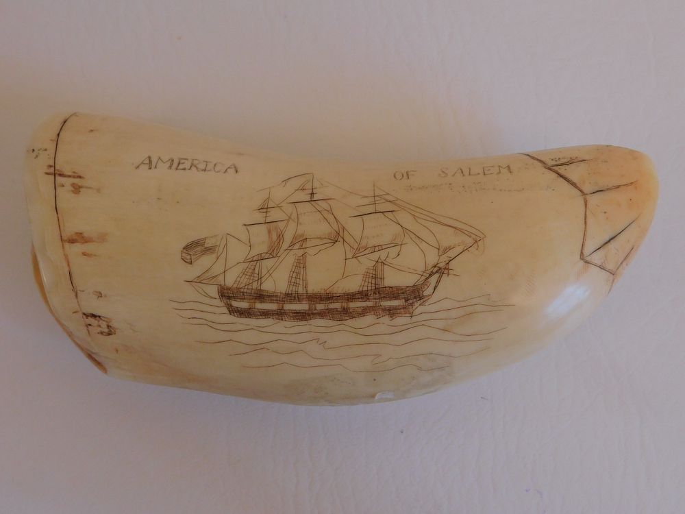 Appraisal: SALEM SHIP WHALE TOOTH Scrimshaw whale tooth with ship AMERICA